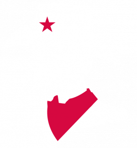 Eve Twist icon